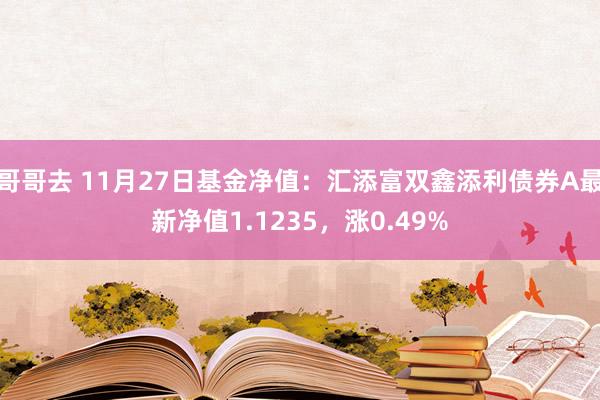 哥哥去 11月27日基金净值：汇添富双鑫添利债券A最新净值1.1235，涨0.49%