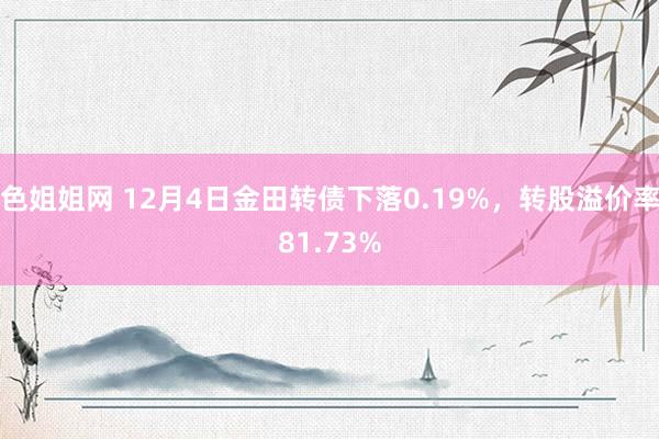 色姐姐网 12月4日金田转债下落0.19%，转股溢价率81.73%