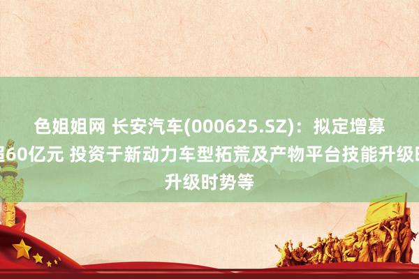 色姐姐网 长安汽车(000625.SZ)：拟定增募资不超60亿元 投资于新动力车型拓荒及产物平台技能升级时势等