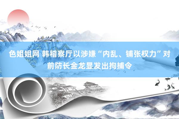 色姐姐网 韩稽察厅以涉嫌“内乱、铺张权力”对前防长金龙显发出拘捕令