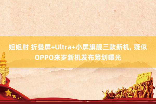 姐姐射 折叠屏+Ultra+小屏旗舰三款新机， 疑似OPPO来岁新机发布筹划曝光