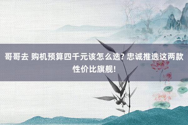 哥哥去 购机预算四千元该怎么选? 忠诚推选这两款性价比旗舰!