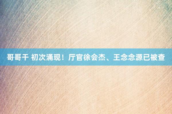 哥哥干 初次涌现！厅官徐会杰、王念念源已被查