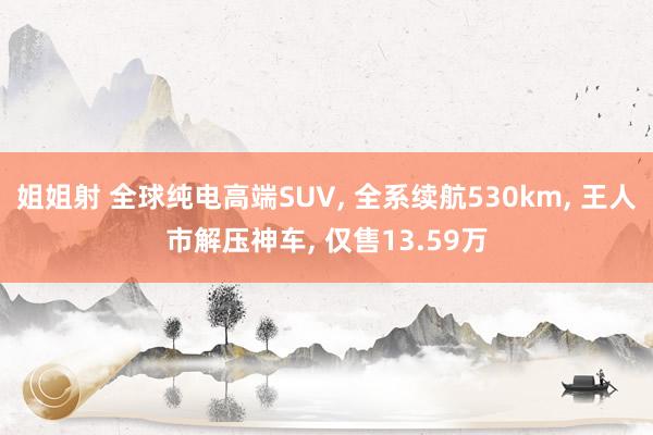 姐姐射 全球纯电高端SUV， 全系续航530km， 王人市解压神车， 仅售13.59万