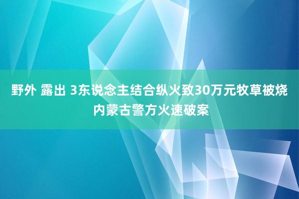 野外 露出 3东说念主结合纵火致30万元牧草被烧 内蒙古警方火速破案