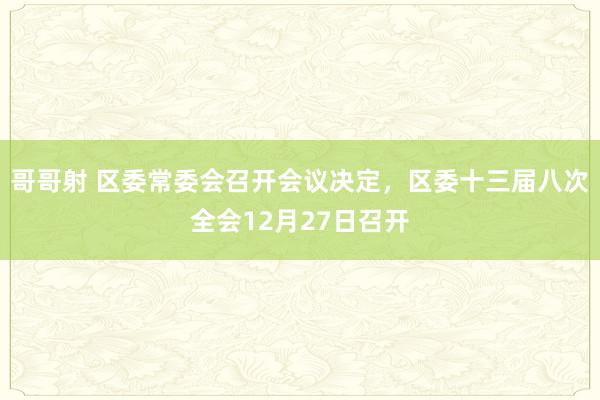 哥哥射 区委常委会召开会议决定，区委十三届八次全会12月27日召开