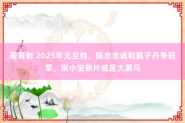 哥哥射 2025年元旦档，陈念念诚和甄子丹争冠军，宋小宝新片或是大黑马