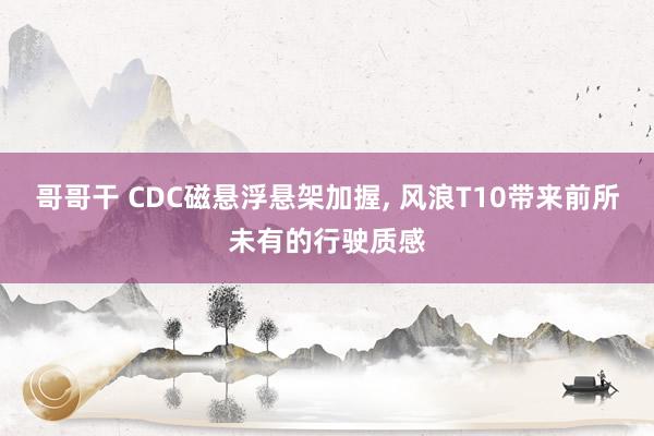 哥哥干 CDC磁悬浮悬架加握， 风浪T10带来前所未有的行驶质感