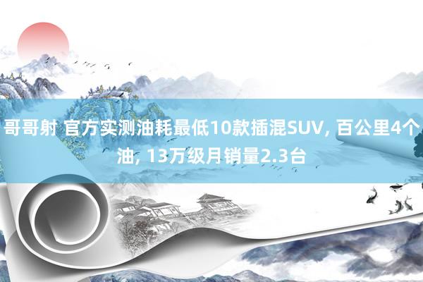 哥哥射 官方实测油耗最低10款插混SUV， 百公里4个油， 13万级月销量2.3台