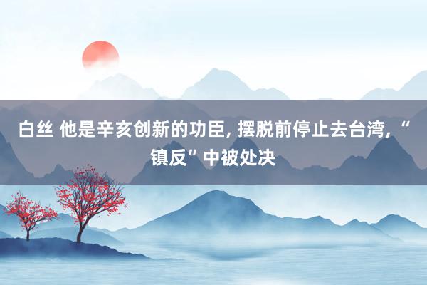 白丝 他是辛亥创新的功臣， 摆脱前停止去台湾， “镇反”中被处决