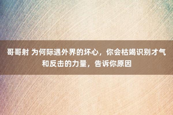 哥哥射 为何际遇外界的坏心，你会枯竭识别才气和反击的力量，告诉你原因