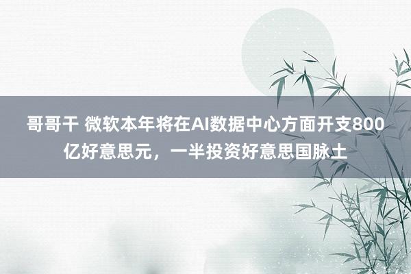 哥哥干 微软本年将在AI数据中心方面开支800亿好意思元，一半投资好意思国脉土