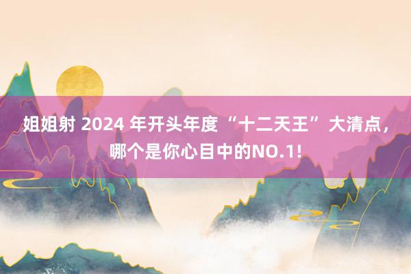 姐姐射 2024 年开头年度 “十二天王” 大清点，哪个是你心目中的NO.1!