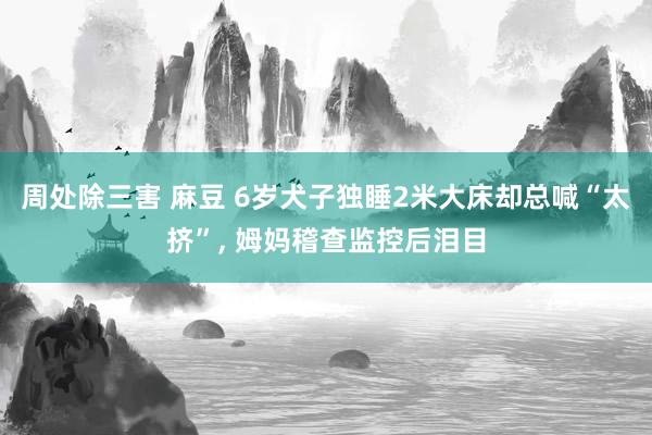 周处除三害 麻豆 6岁犬子独睡2米大床却总喊“太挤”， 姆妈稽查监控后泪目