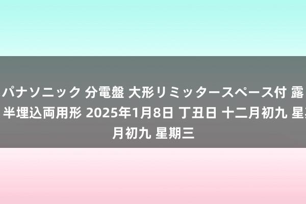 パナソニック 分電盤 大形リミッタースペース付 露出・半埋込両用形 2025年1月8日 丁丑日 十二月初九 星期三