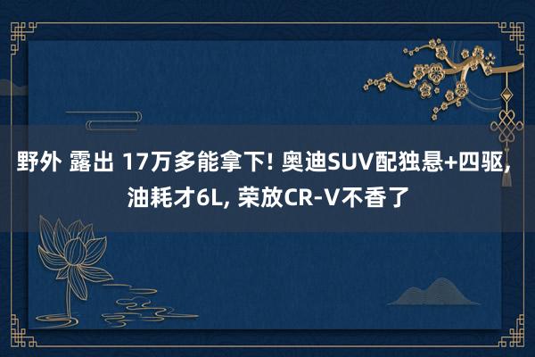 野外 露出 17万多能拿下! 奥迪SUV配独悬+四驱， 油耗才6L， 荣放CR-V不香了