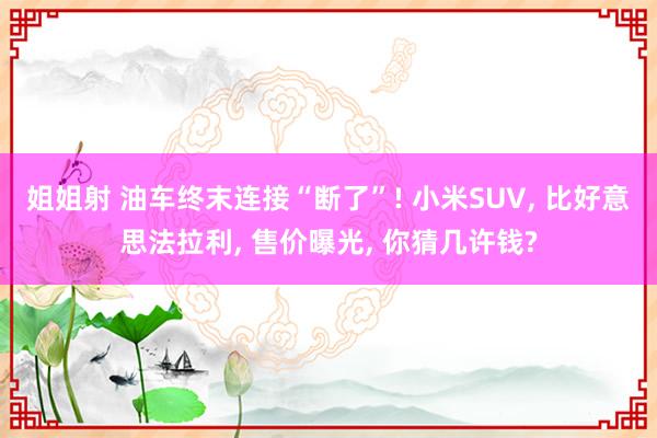 姐姐射 油车终末连接“断了”! 小米SUV， 比好意思法拉利， 售价曝光， 你猜几许钱?