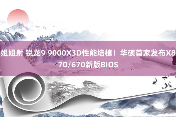 姐姐射 锐龙9 9000X3D性能培植！华硕首家发布X870/670新版BIOS