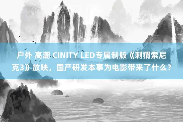 户外 高潮 CINITY LED专属制版《刺猬索尼克3》放映，国产研发本事为电影带来了什么？