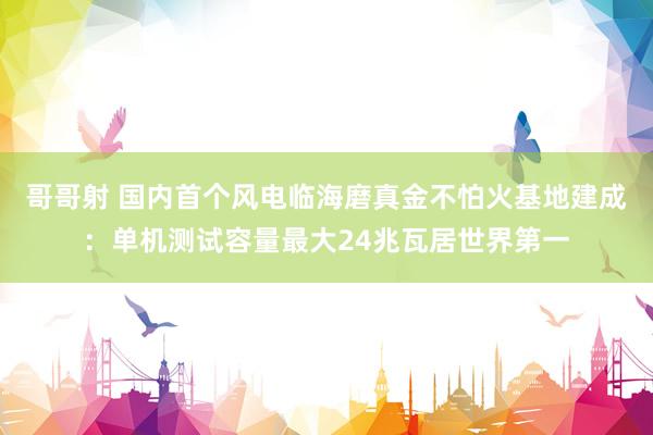 哥哥射 国内首个风电临海磨真金不怕火基地建成：单机测试容量最大24兆瓦居世界第一