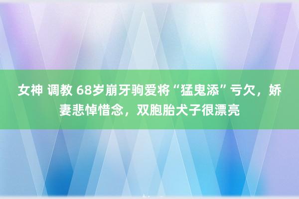 女神 调教 68岁崩牙驹爱将“猛鬼添”亏欠，娇妻悲悼惜念，双胞胎犬子很漂亮