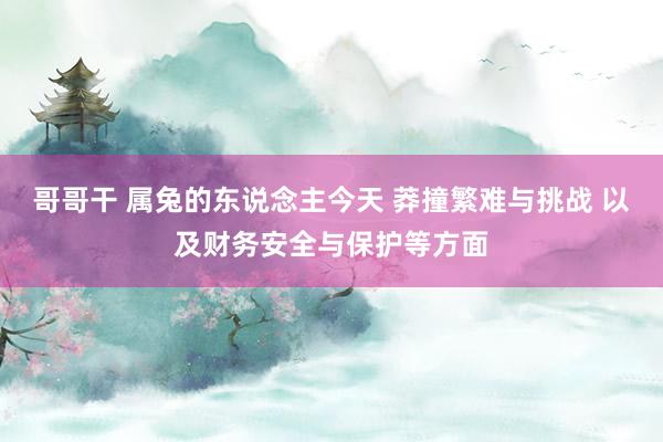 哥哥干 属兔的东说念主今天 莽撞繁难与挑战 以及财务安全与保护等方面